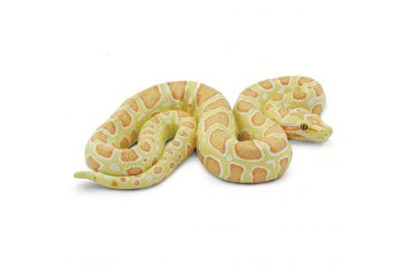 Figurine Python albinos