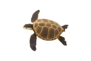 Figurine tortue verte