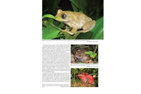 Status and Threats of Afrotropical Amphibians