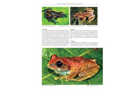 Status and Threats of Afrotropical Amphibians