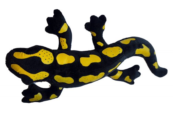 Peluche salamandre commune