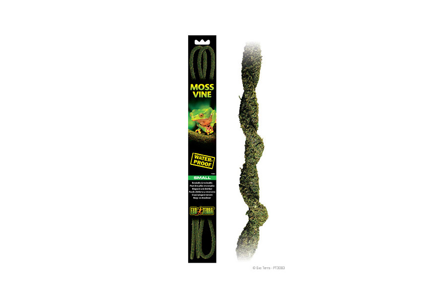 Liane flexible Moss Vine Liane flexible Moss Vine