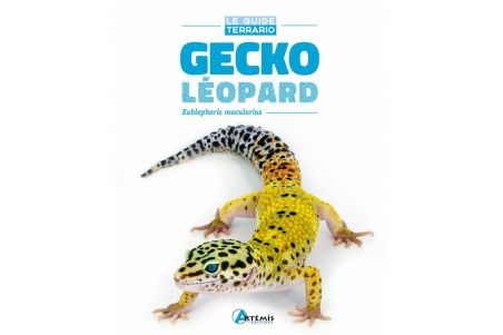 Gecko Léopard