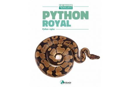 Python regius