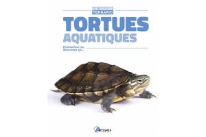 Tortues Aquatiques