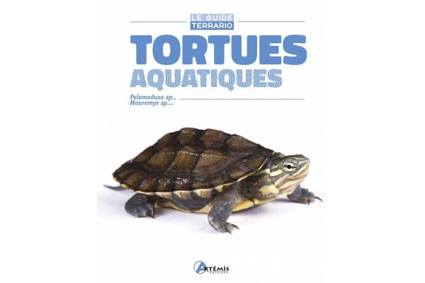 Tortues Aquatiques Tortues Aquatiques