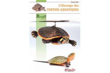 L'élevage des Tortues aquatiques