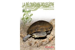 La pélomeduse Rousâtre - Guide Reptile mag