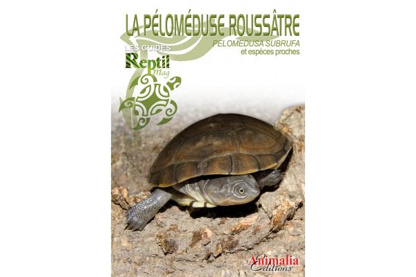 La fiche sur la tortue aquatique : Pelomedusa subrufa 