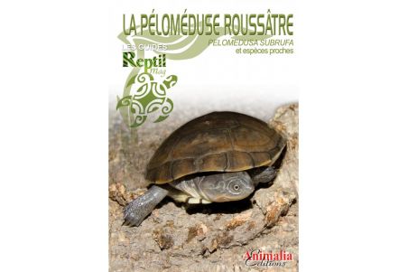 La pélomeduse Rousâtre - Guide Reptile mag