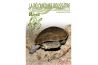 La pélomeduse Rousâtre - Guide Reptile mag