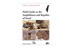 Field Guide to the Amphibians and Reptiles of Israel