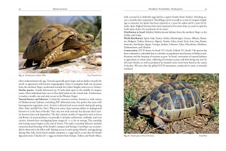 Field Guide to the Amphibians and Reptiles of Israel