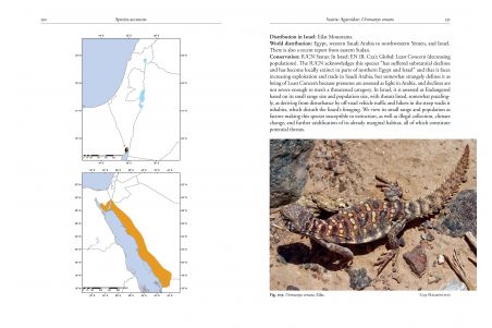 Field Guide to the Amphibians and Reptiles of Israel