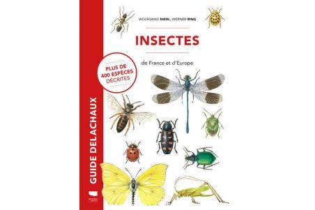 Insectes de France et d'Europe Insectes de France et d'Europe