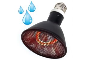 Deep Heat Splash Proof - Lampe à résistance chauffante