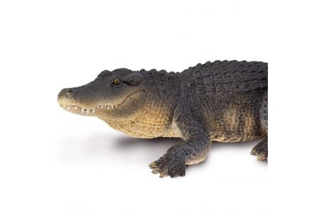 Figurine Alligator - Large