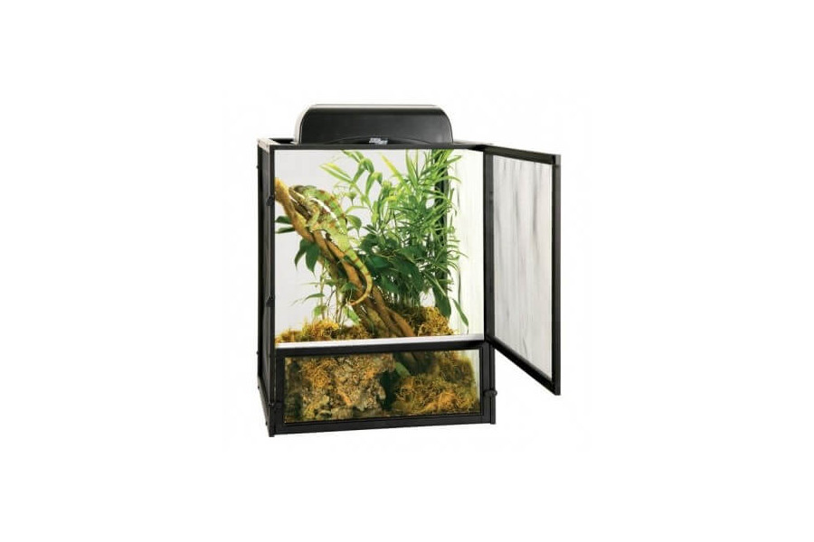  Grillage Terrarium