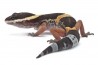 Eublepharis hardwickii, adulte