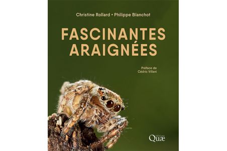 Fascinantes araignées