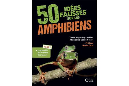 50 idées fausses sur les amphibiens