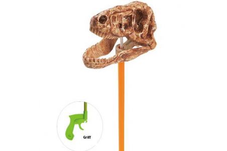 Crâne pince articulée T-rex