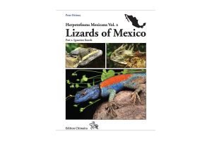 Lizards of Mexico - Part 1