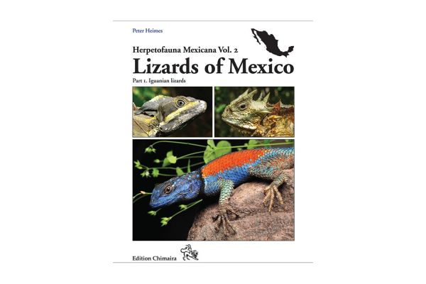 Lizards of Mexico - Part 1 Lizards of Mexico - Part 1