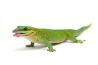 Phelsuma madagascariensis