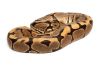 Python regius, spotnose, adulte