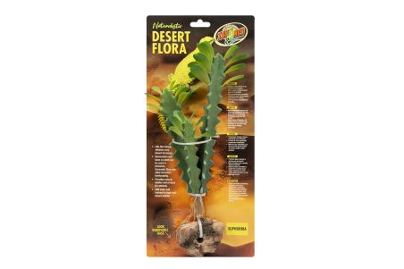 Naturalistic Desert Flora - Euphorbia