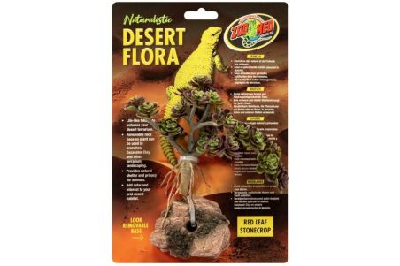 Naturalistic Desert Flora - Red Leaf Stonecrop