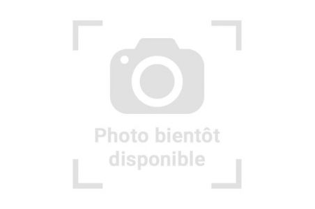 Elaphe guttata, tessera kastanie motley