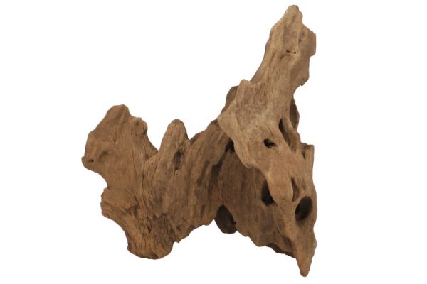 Racine naturelle "Crown Wood" Racine naturelle "Crown Wood"