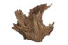 Racine naturelle "Crown Wood"