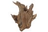 Racine naturelle "Crown Wood"