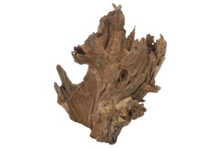 Racine naturelle "Crown Wood"