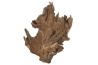 Racine naturelle "Crown Wood"