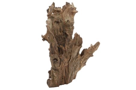 Racine naturelle "Crown Wood"