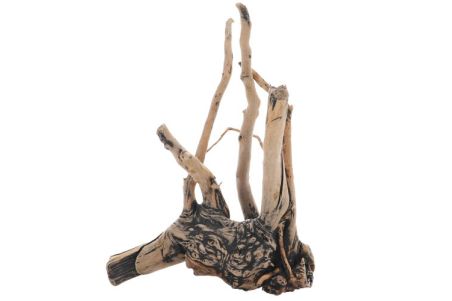 Fingerwood Shadow - Racines fines sombres Fingerwood Shadow - Racines fines sombres