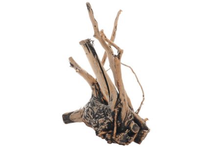Fingerwood Shadow - Racines fines sombres