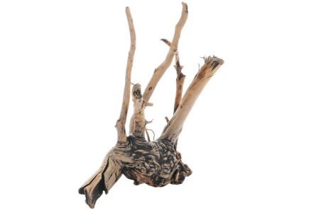 Fingerwood Shadow - Racines fines sombres