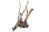 Fingerwood Shadow - Racines fines sombres