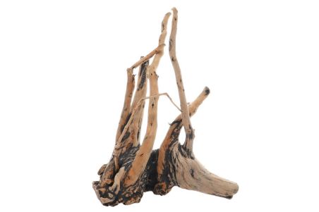 Fingerwood Shadow - Racines fines sombres