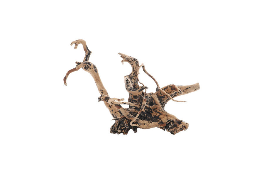 Fingerwood Shadow - Racines fines sombres