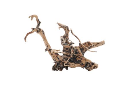 Fingerwood Shadow - Racines fines sombres