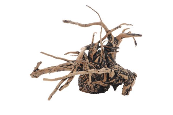 Fingerwood Shadow - Racines fines sombres Fingerwood Shadow - Racines fines sombres