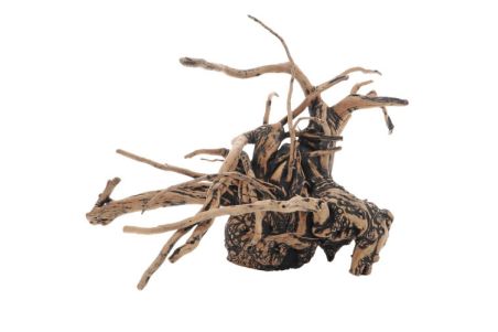Fingerwood Shadow - Racines fines sombres