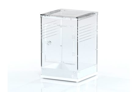 Boite d'élevage transparente en kit 30 x 30 x 45cm Boite d'élevage transparente en kit 30 x 30 x 45cm