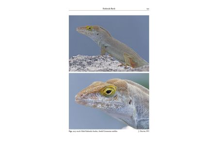 Reptiles of the Lesser Antilles